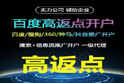 搜索引擎营销（SEM）的创意与执行——以多个行业成功案例为教学